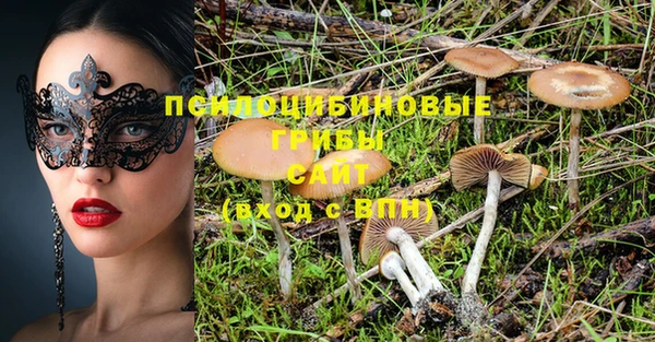 шишки Богданович