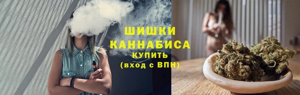 шишки Богданович