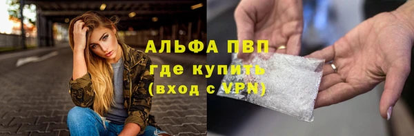 шишки Богородицк