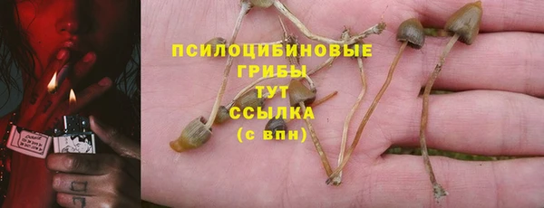 шишки Богданович