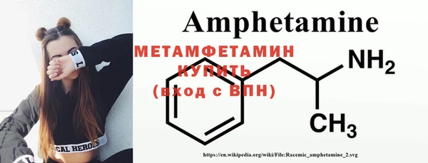 шишки Богородицк