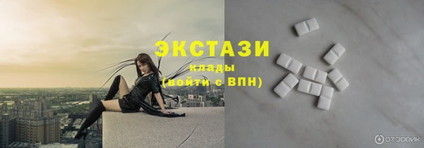 шишки Богородицк