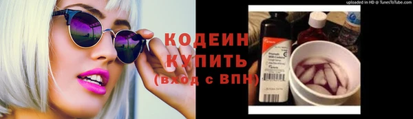 шишки Богородицк