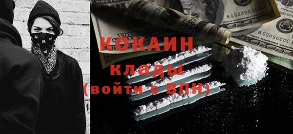 шишки Богданович