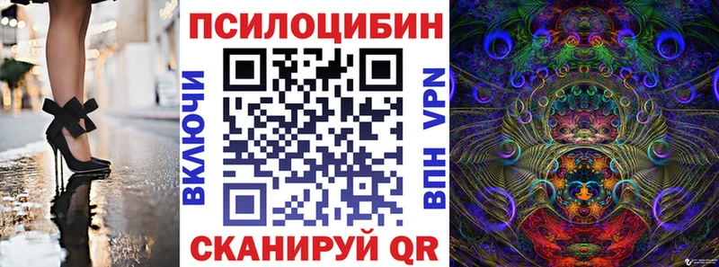 mega зеркало  Дигора  Псилоцибиновые грибы Psilocybe 